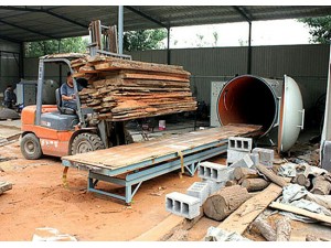 高頻真空木材干燥機(jī)