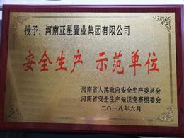 ��ȫ���a ʾ����λ