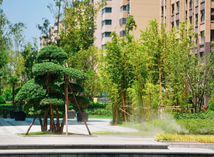 ��(sh��)���D